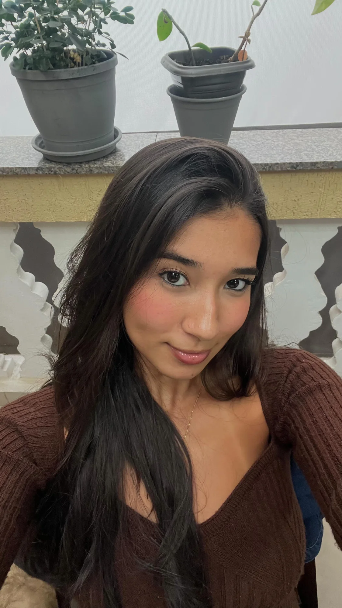 Retrato de Luiza Maeda com blusa marrom e cabelo solto